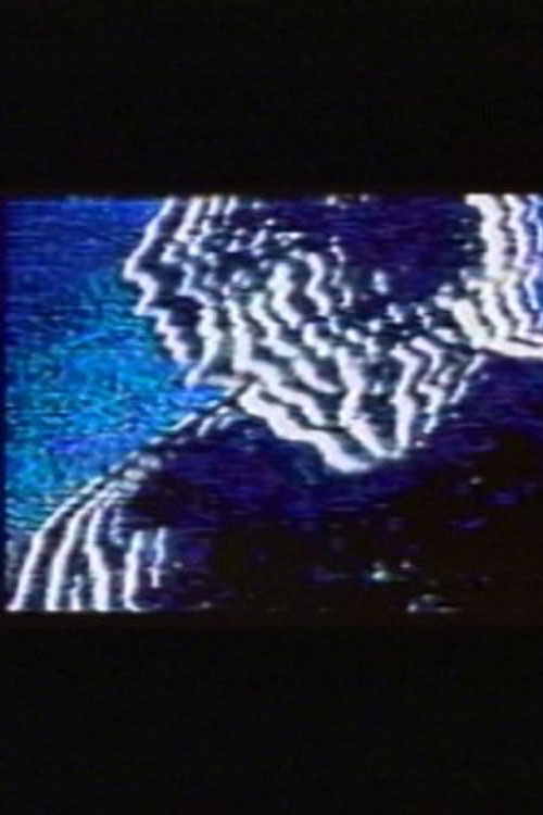 Boulevard of Broken Sync (1996) poster