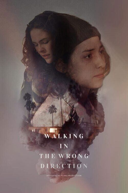 Walking in the Wrong Direction (2023) poster