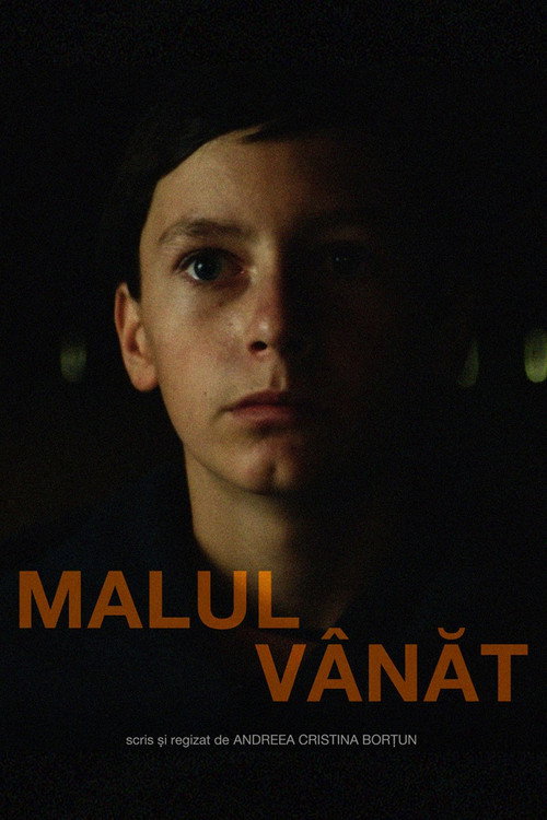 Malul Vânăt poster