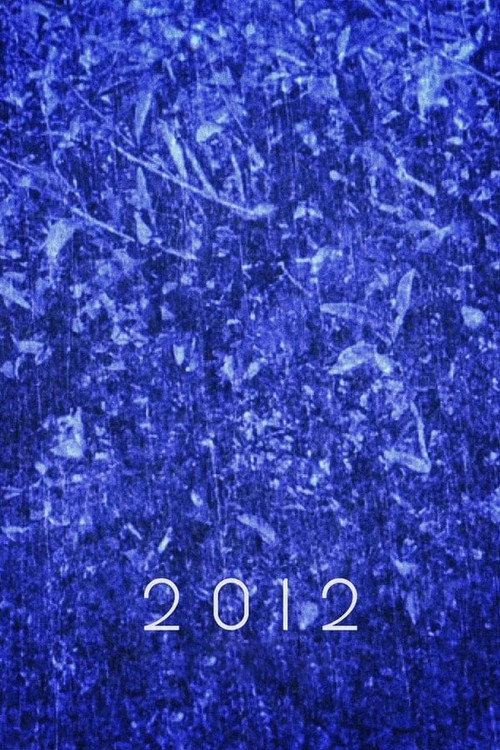 2012 (2013) poster