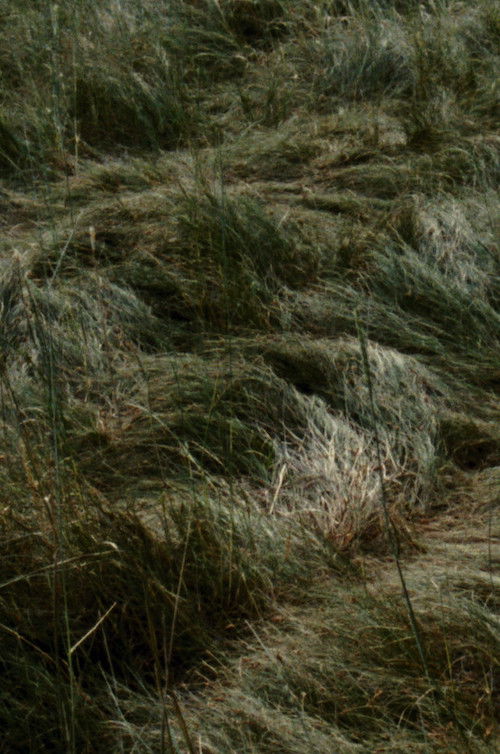 reliéf Relief (2023) poster