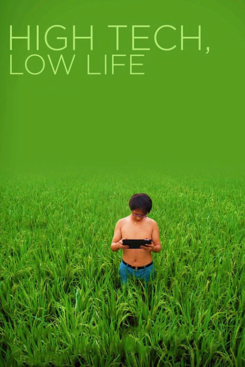 High Tech, Low Life (2012) poster