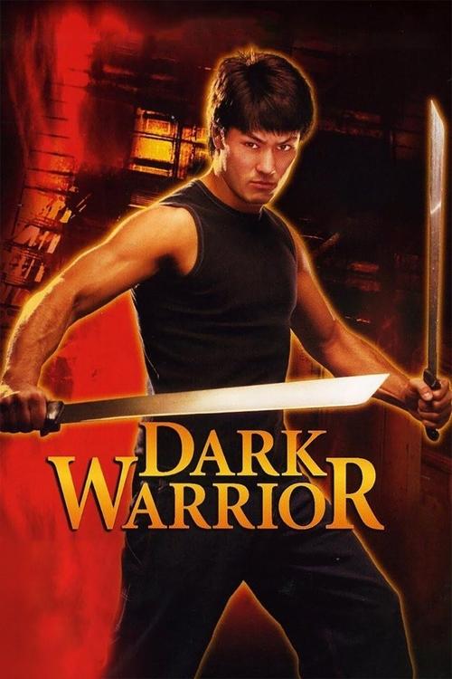 Dark Warrior (2007) poster