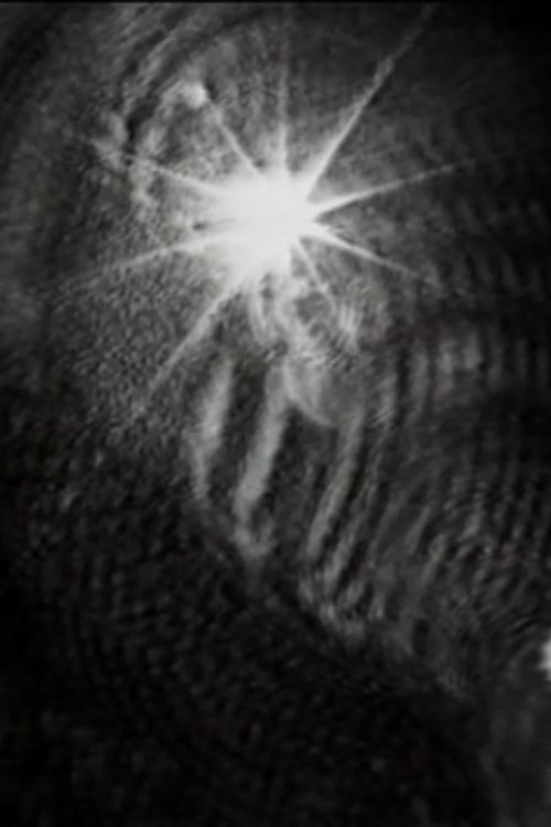 Bird's Eye (1978) poster