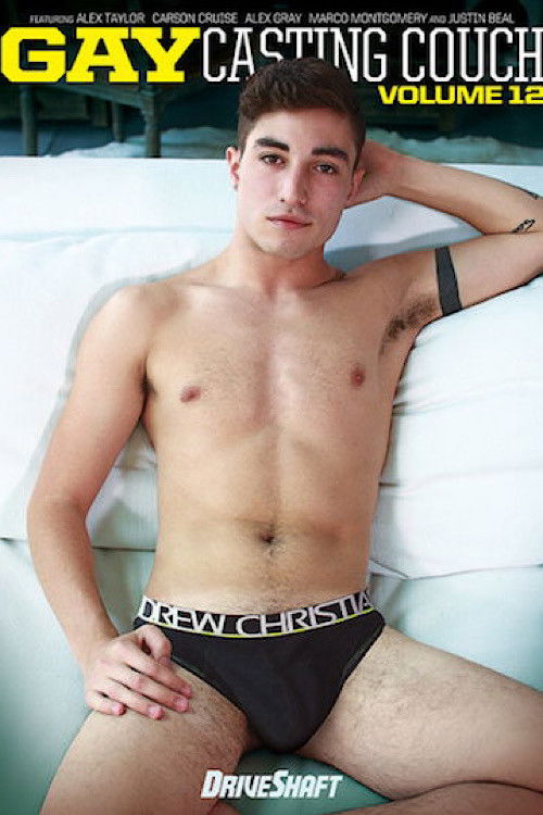 Gay Casting Couch 12 (2019) poster