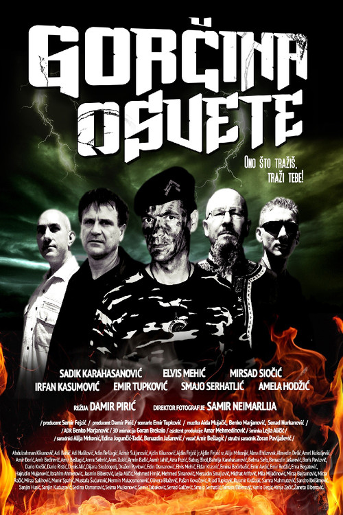 The Bitterness of Revenge (2013) poster