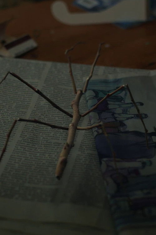 Walking Stick (2017) poster