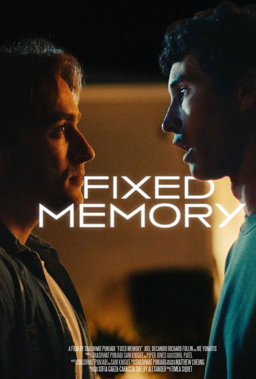 Fixed Memory (2024) poster