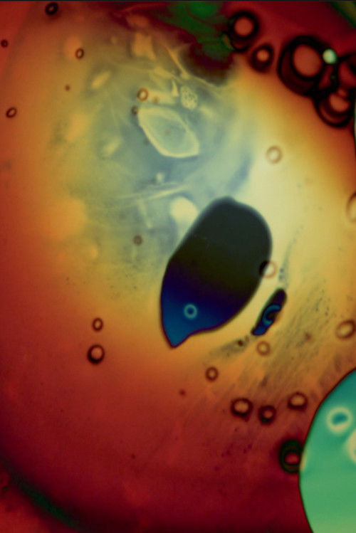 A Peculiar Week in My Dream Journal May 1973 (2019) poster