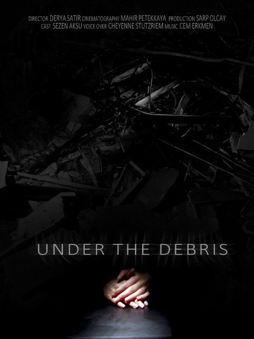 Under the Debris (2024) poster