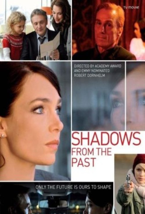 Shadows from the Past (2011) poster