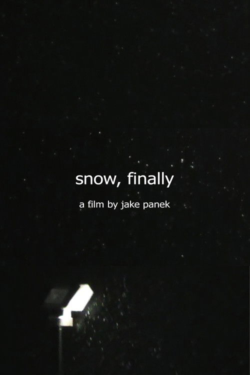 snow, finally (2024) poster