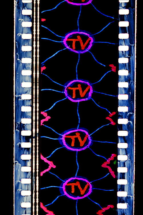 TV (2019) poster