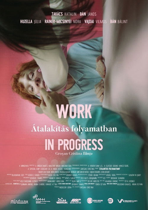 Átalakítás Folyamatban (2018) poster