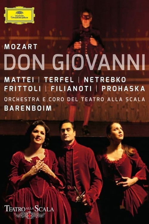 Mozart: Don Giovanni (2011) poster