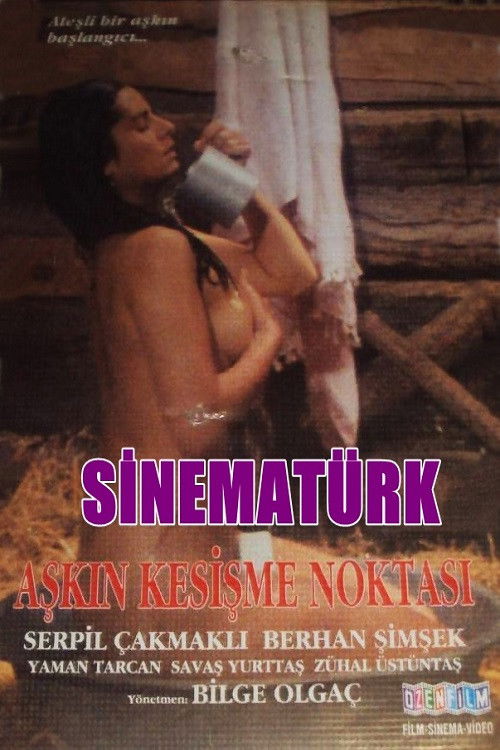 Aşkın Kesişme Noktası (1990) poster