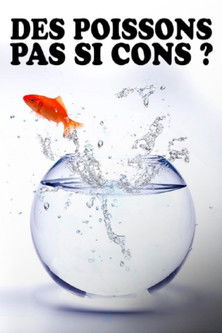 Des poissons, pas si cons ? (2022) poster