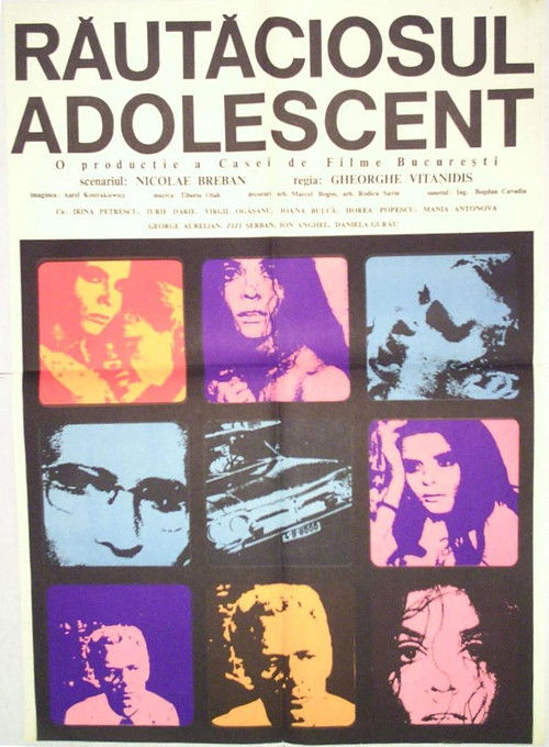 A Woman for a Season (1969) poster