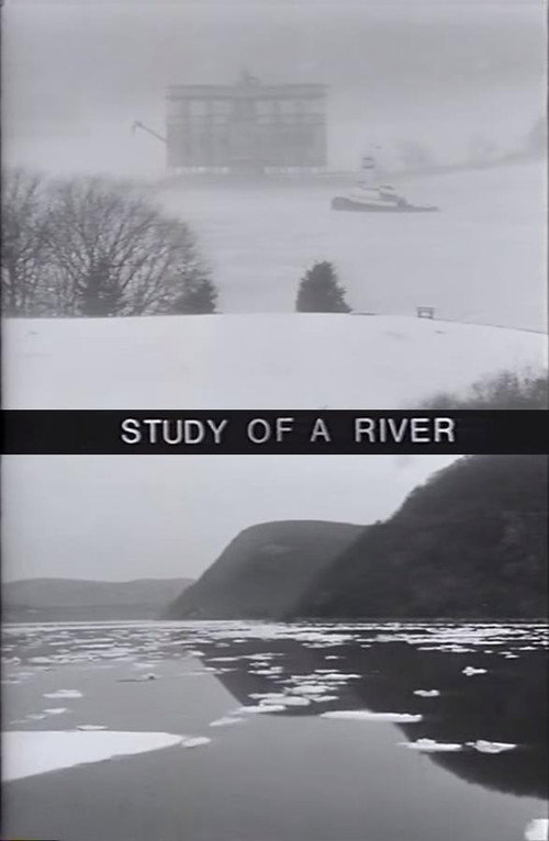 Study of a River (1997) poster