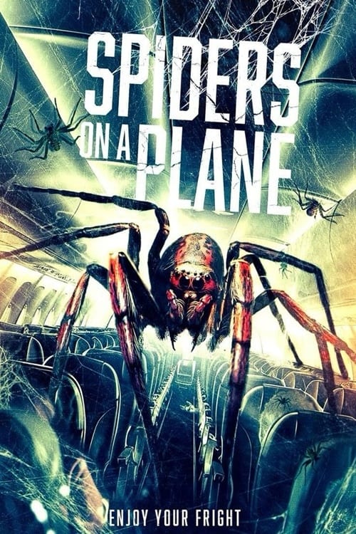 Spiders on a Plane (2024) poster