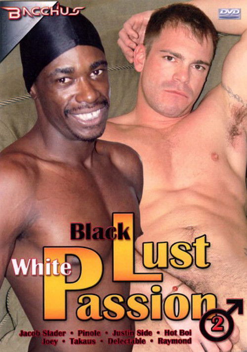 Black Lust White Passion 2 (2006) poster