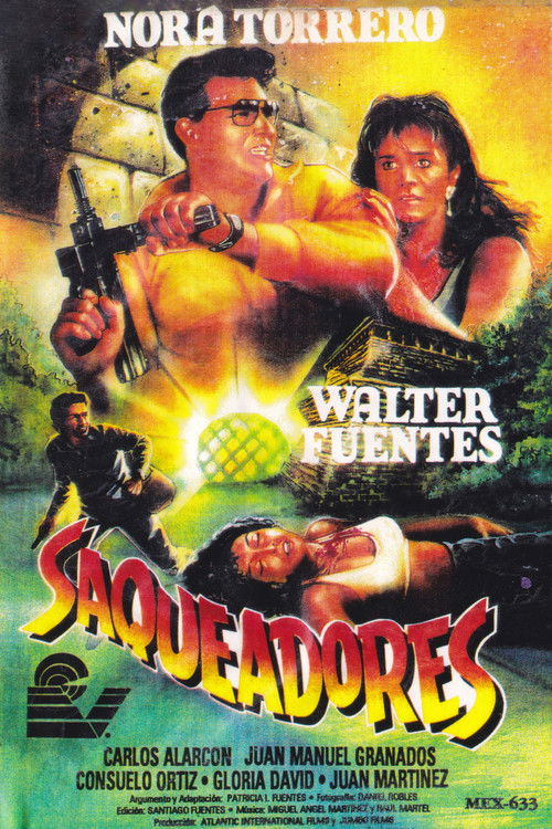 Saqueadores (1992) poster