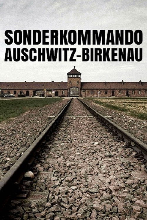 Sonderkommando Auschwitz-Birkenau (2008) poster