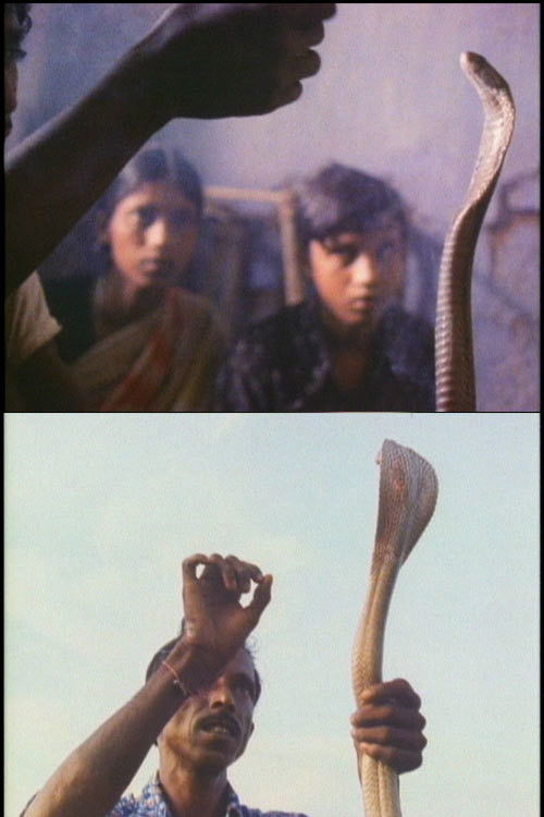 Serpent Mother (1985) poster