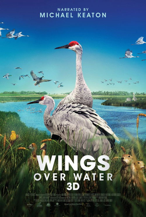 Wings Over Water (2022) poster