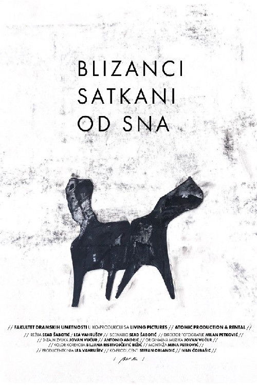 Twins Woven from Dreams (2020) poster