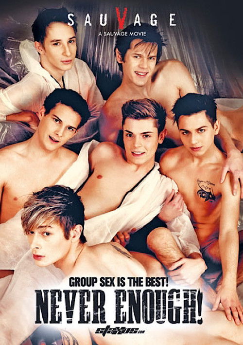 Never Enough (2013) poster