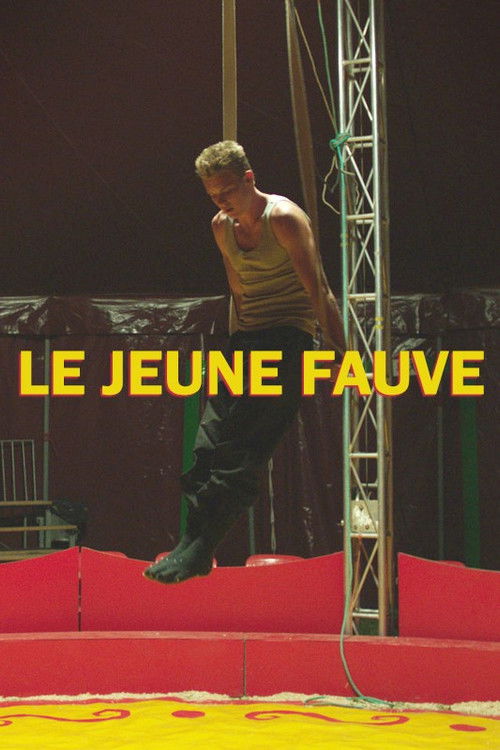 Le Jeune Fauve (2013) poster