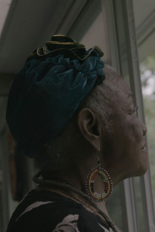 The Ancestors Came (2017) poster