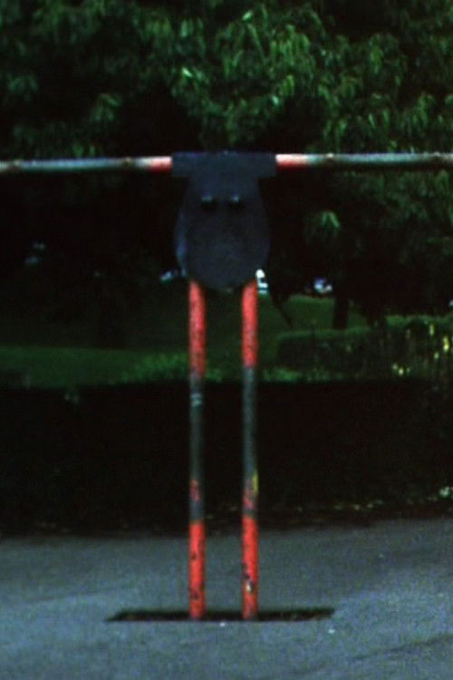 Park Ambassador (2004) poster