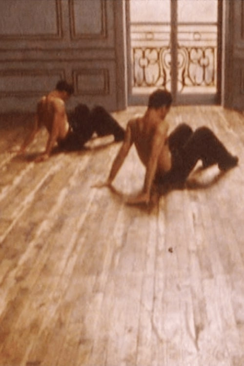 Les Raboteurs (1988) poster