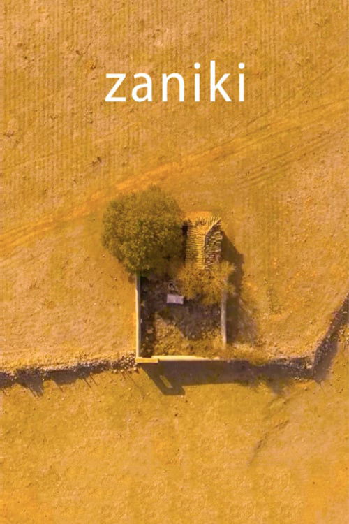 Zaniki (2018) poster