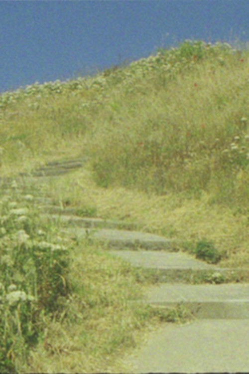 The seagull... and the glory of God poster