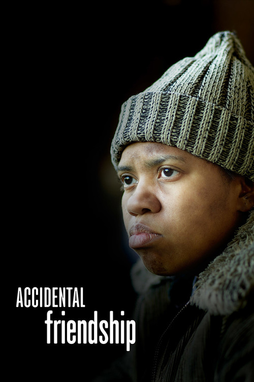 Accidental Friendship (2008) poster