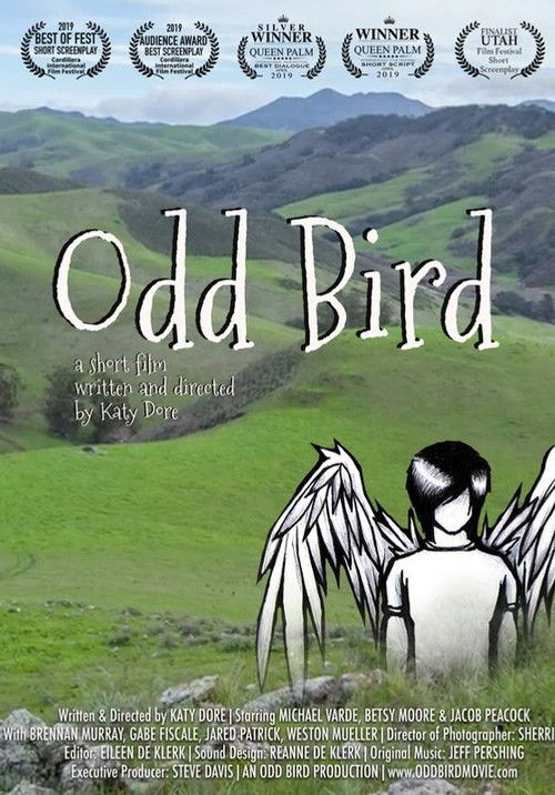 Odd Bird (2019) poster
