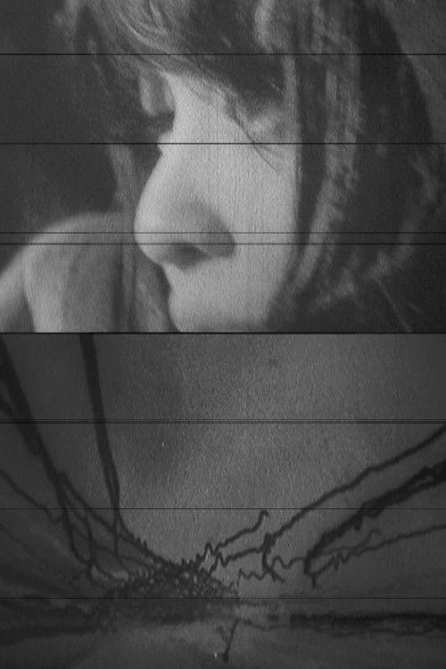 Film workshop when there is no more FILM! (2013) poster