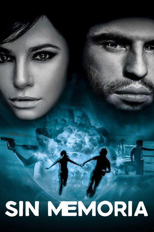 Sin Memoria (2010) poster