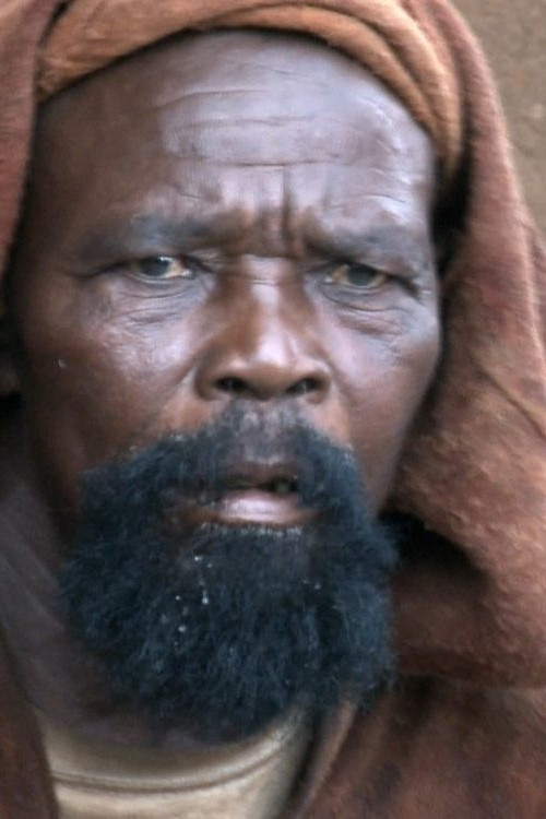 Children of the Pale Fox (2011) poster