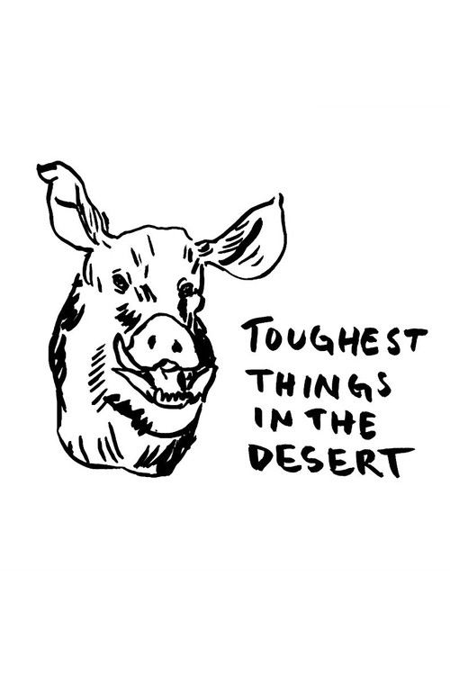 Toughest Things in the Desert (2022) poster