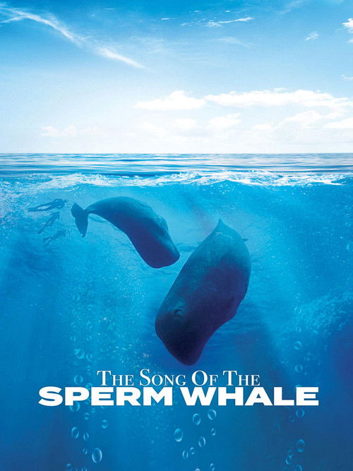 Song of the Sperm Whale (2017) poster