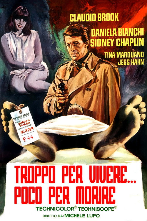 Troppo per vivere... poco per morire (1967) poster