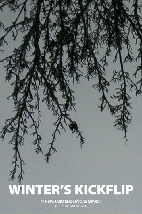 Winter's Kickflip (2021) poster