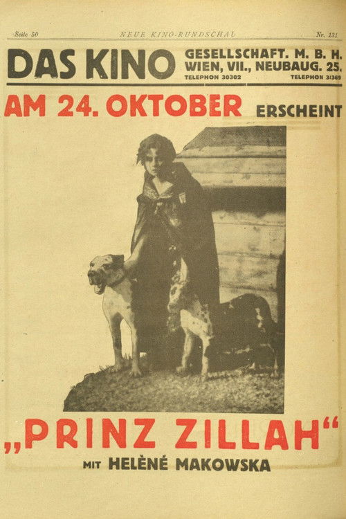 Il principe Zilah (1919) poster