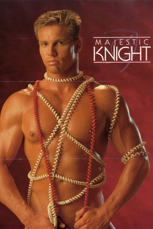 Majestic Knights (1991) poster