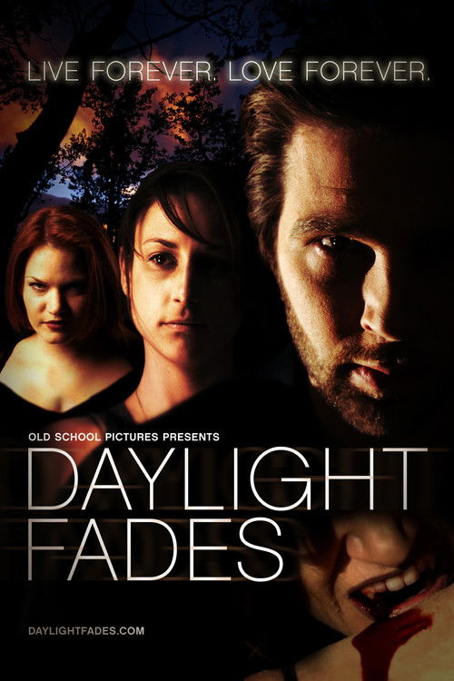 Daylight Fades (2010) poster