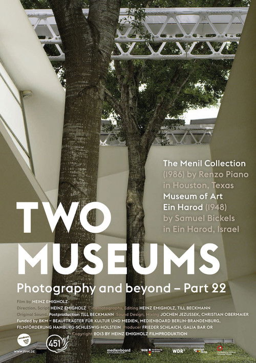 Two Museums (2014) poster